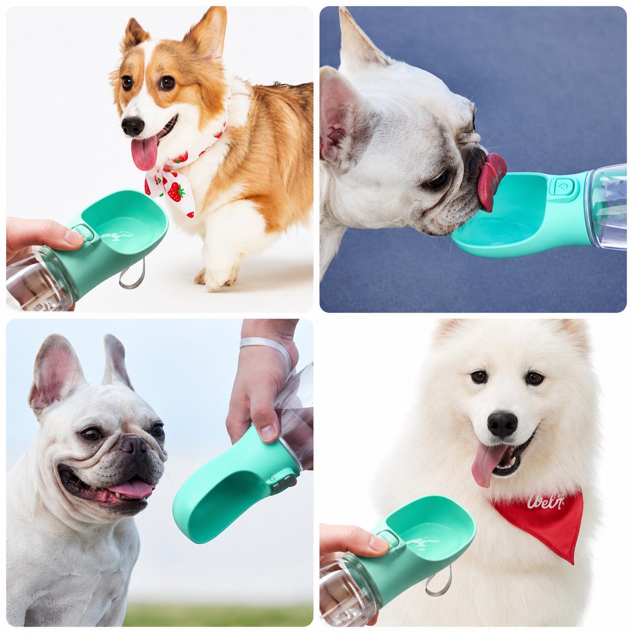 Moviora Premium Portable Pet Water Bottle