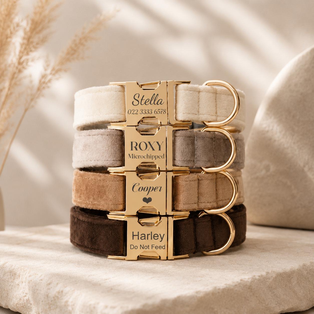 Moviora Personalized Velvet Dog Collar