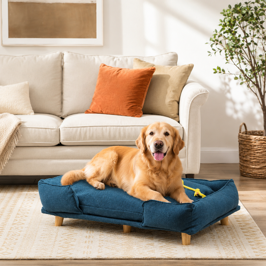 Moviora Premium Elevated Comfort Dog Bed